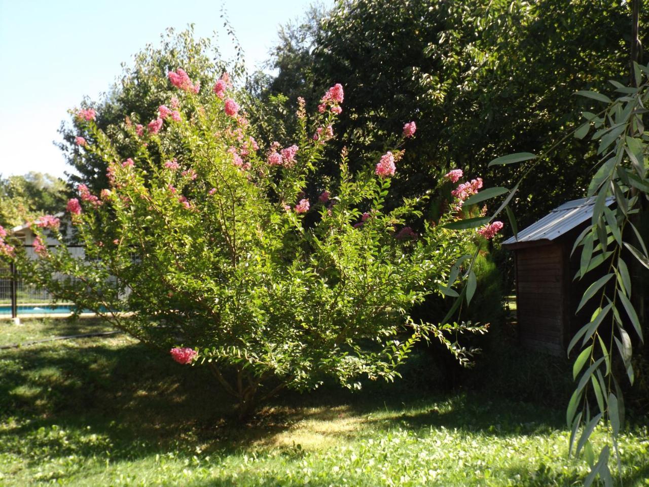 Cabanas Aguas Claras Pinto Buitenkant foto